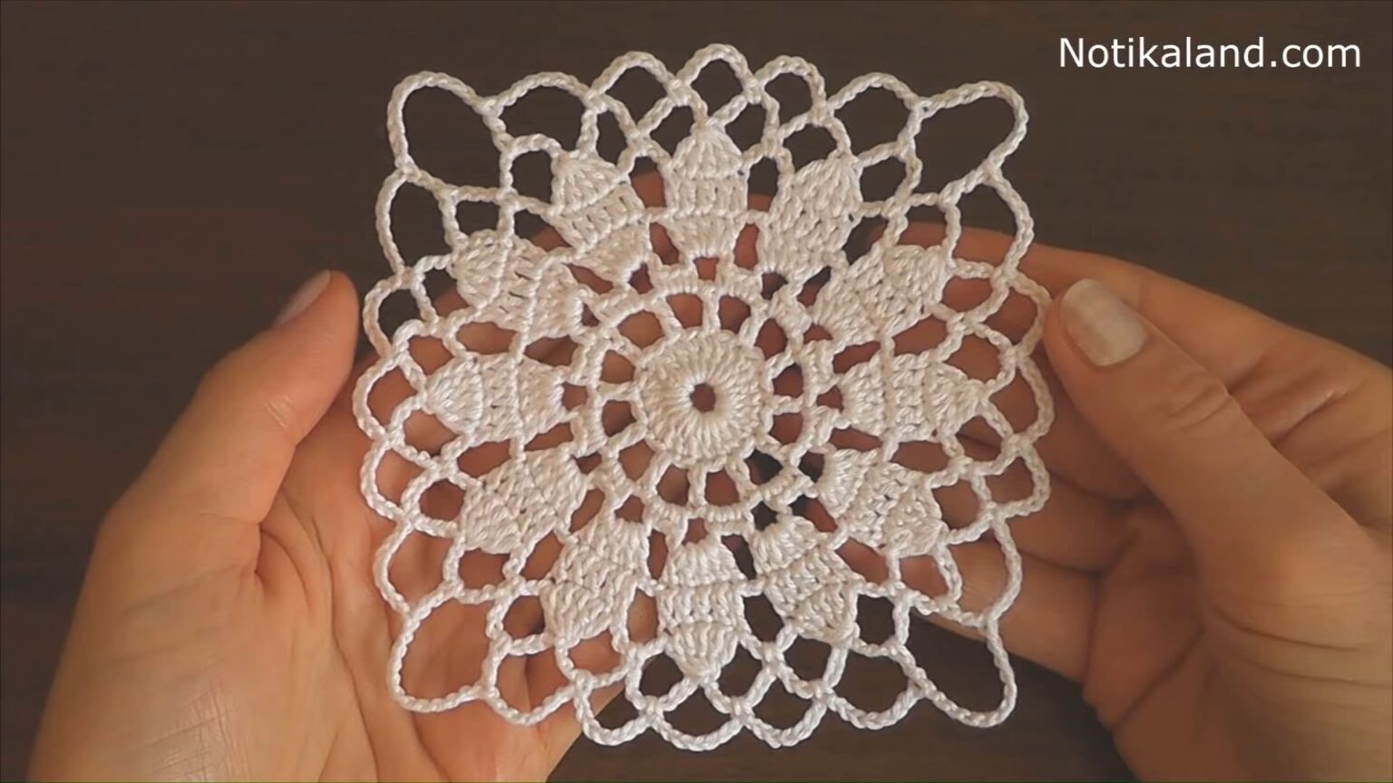 Crochet Tunisian Stitch Butterfly Applique CrochetedWorld