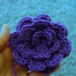 Crochet a Rose